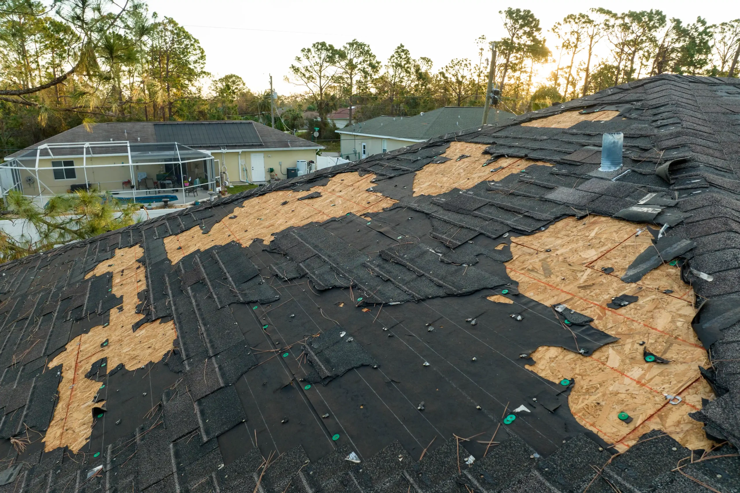Professional Roofing Work